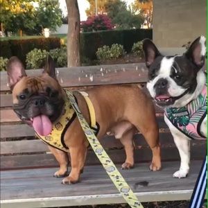 Meet your Posher, Veronica